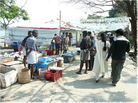 Images/cochin 661.jpg